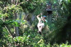 IMG_4536-3-scaled