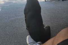 IMG-20240811-WA0034